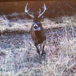 Meet your Posher, Dylan